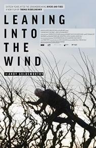 Leaning Into The Wind poster
