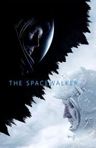 Spacewalk poster