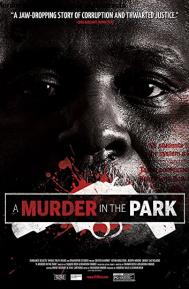 A Murder in the Park poster