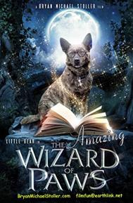 The Amazing Wizard of Paws poster