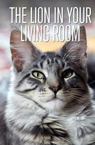 The Lion in Your Living Room poster