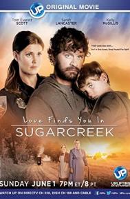 Love Finds You in Sugarcreek poster