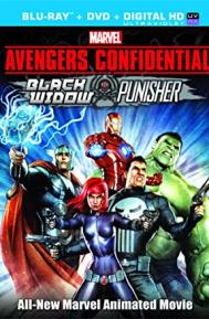 Avengers Confidential: Black Widow & Punisher poster