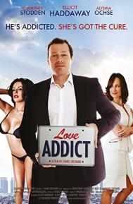 Love Addict poster