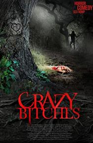 Crazy Bitches poster