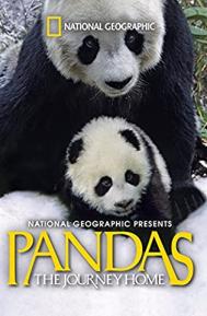 Pandas: The Journey Home poster