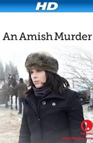 An Amish Murder poster