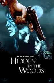 Hidden in the Woods poster