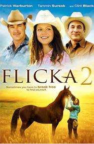 Flicka 2 poster