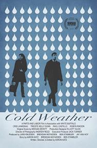 Cold Weather poster
