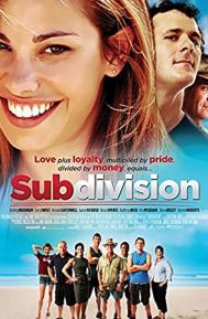 Subdivision poster