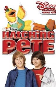 Hatching Pete poster