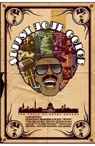 Adjust Your Color: The Truth of Petey Greene poster