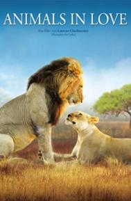 Animals in Love poster