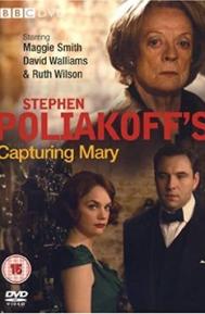 Capturing Mary poster