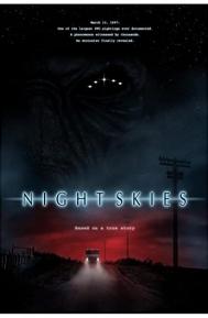 Night Skies poster