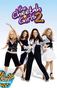 The Cheetah Girls 2 poster