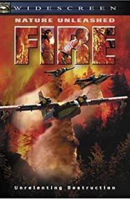 Nature Unleashed: Fire poster