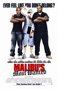Malibu's Most Wanted poster