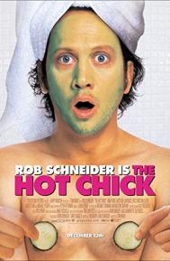 The Hot Chick poster