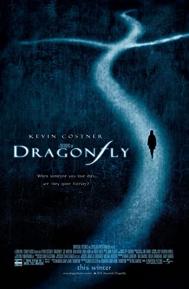 Dragonfly poster