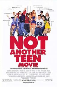 Not Another Teen Movie poster