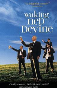 Waking Ned Devine poster
