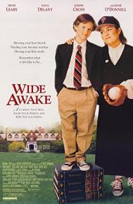 Wide Awake poster