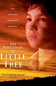 The Education of Little Tree poster