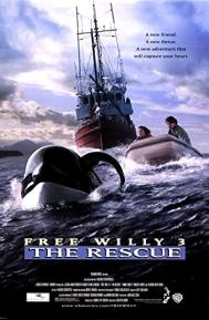 Free Willy 3: The Rescue poster