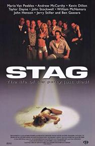 Stag poster