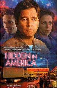 Hidden in America poster