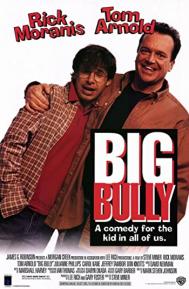 Big Bully poster