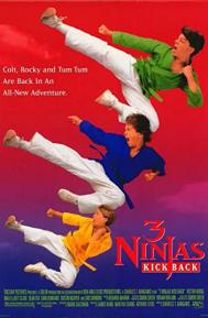 3 Ninjas Kick Back poster