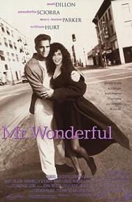 Mr. Wonderful poster