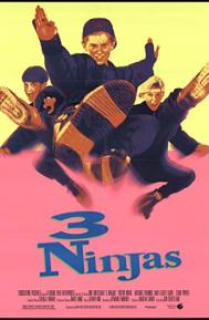 3 Ninjas poster