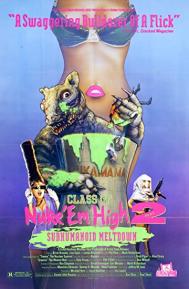 Class of Nuke 'Em High Part II: Subhumanoid Meltdown poster