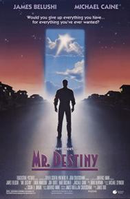 Mr. Destiny poster