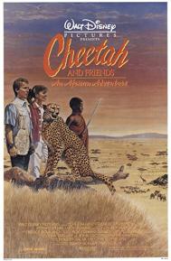 Cheetah poster