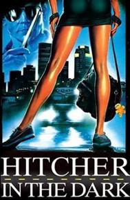 Hitcher in the Dark poster