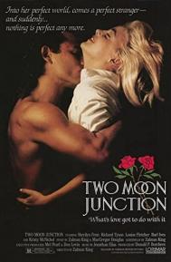 Two Moon Junction poster
