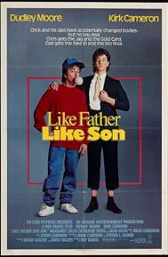 Like Father Like Son poster