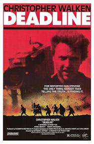 Witness in the War Zone poster