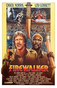 Firewalker poster