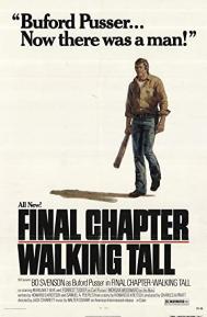 Final Chapter: Walking Tall poster