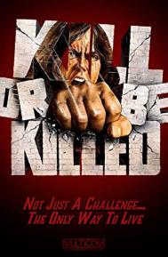 Karate Killer poster