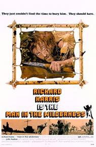 Man in the Wilderness poster