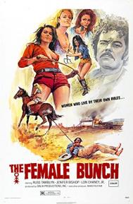 The Female Bunch poster