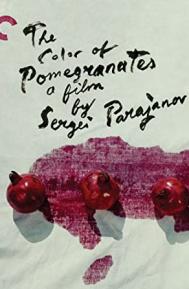 The Color of Pomegranates poster