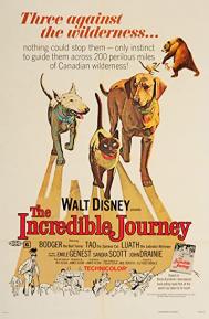 The Incredible Journey poster